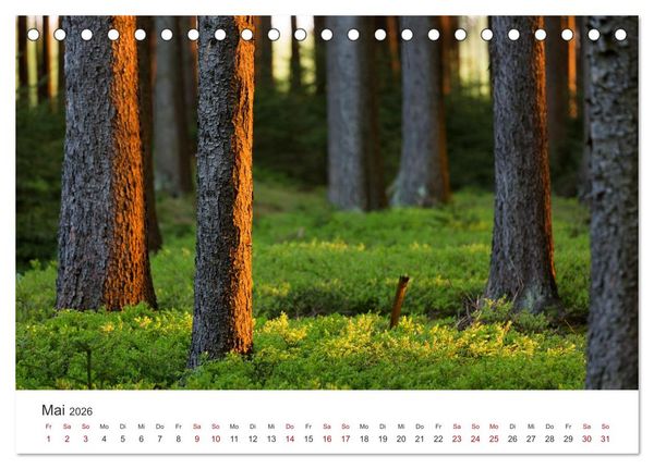 Produktbild: Im Deutschen Wald (Tischkalender 2026 DIN A5 quer), CALVENDO Monatskalender