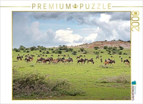CALVENDO Puzzle Gnus | 2000 Teile Lege-Größe 90x67cm Foto-Puzzle für glückliche Stunden