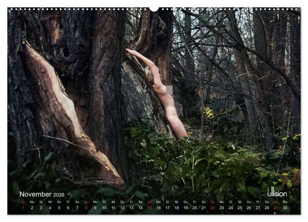 Produktbild: Lieblingsb&auml;ume - eins mit der Natur (hochwertiger Premium Wandkalender 2026 DIN A2 quer), Kunstdruck in Hochglanz