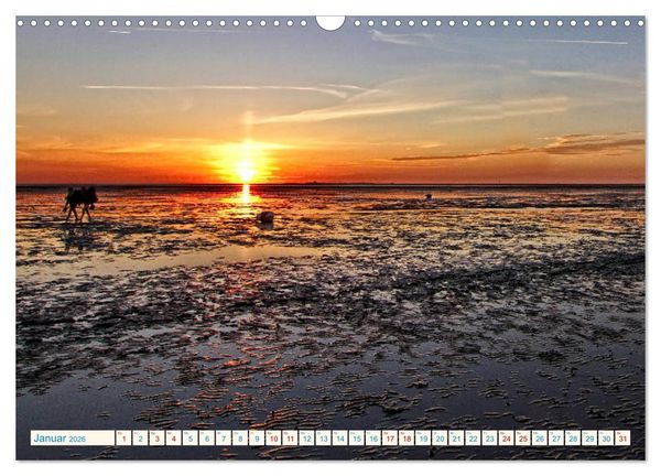 Produktbild: Sonnenunterg&auml;nge, an der Nordseek&uuml;ste vor Cuxhaven (Wandkalender 2026 DIN A3 quer), CALVENDO Monatskalender