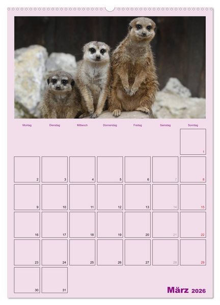Produktbild: Erdm&auml;nnchen / Terminplaner (Wandkalender 2026 DIN A2 hoch), CALVENDO Monatskalender