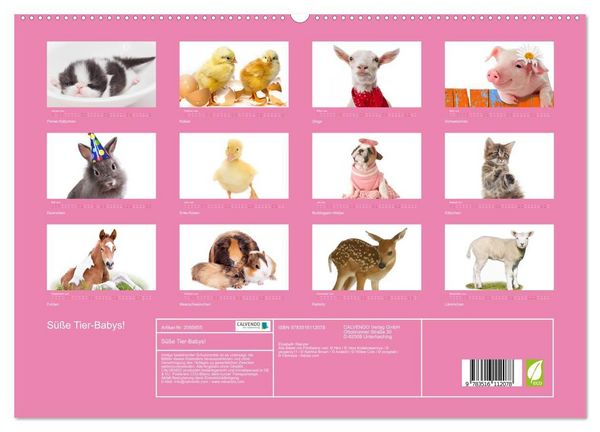 Produktbild: S&uuml;&szlig;e Tier-Babys! (hochwertiger Premium Wandkalender 2026 DIN A2 quer), Kunstdruck in Hochglanz