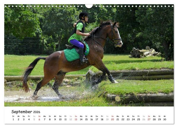 Produktbild: Pony Springreiten (Wandkalender 2026 DIN A3 quer), CALVENDO Monatskalender