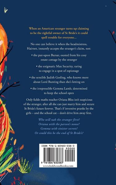 Produktbild: Sinister Stranger at St Brides