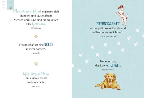 Produktbild: WAU! - Freunde f&uuml;rs Leben