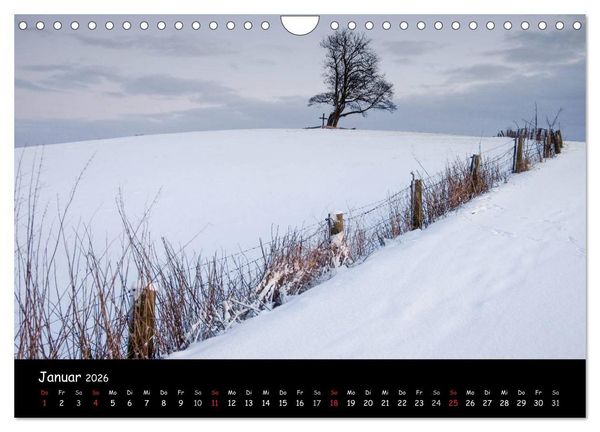 Produktbild: Billerbeck - Perle der Baumberge (Wandkalender 2026 DIN A4 quer), CALVENDO Monatskalender