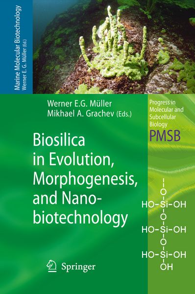 Produktbild: Biosilica in Evolution, Morphogenesis, and Nanobiotechnology