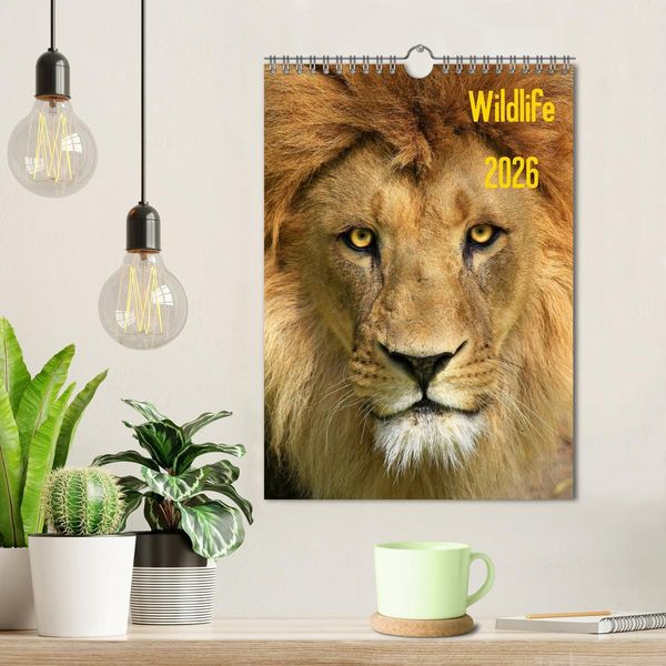 Produktbild: Wildlife 2026 (Wandkalender 2026 DIN A4 hoch), CALVENDO Monatskalender