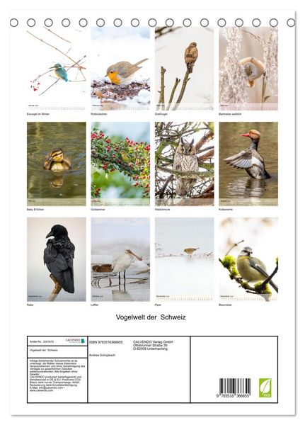 Produktbild: Vogelwelt der Schweiz (Tischkalender 2026 DIN A5 hoch), CALVENDO Monatskalender