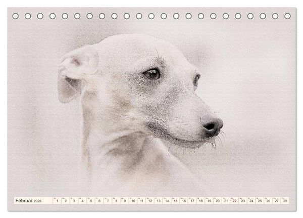 Produktbild: Windspiele 2026 (Tischkalender 2026 DIN A5 quer), CALVENDO Monatskalender