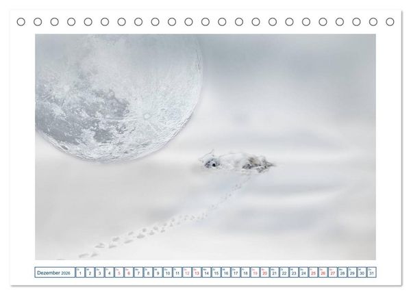Produktbild: MoonMania (Tischkalender 2026 DIN A5 quer), CALVENDO Monatskalender