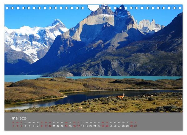 Produktbild: Patagonie Chilienne (Calendrier mural 2026 DIN A4 vertical), CALVENDO calendrier mensuel
