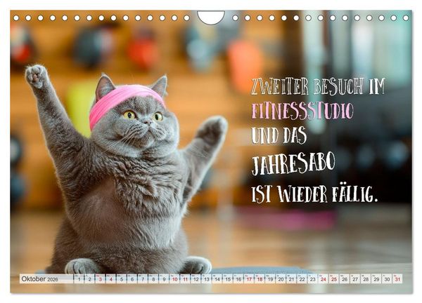 Produktbild: Katzenlogik - Wenn Blicke miauen k&ouml;nnten (Wandkalender 2026 DIN A4 quer), CALVENDO Monatskalender