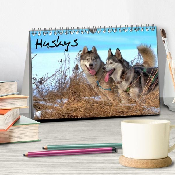Produktbild: Huskys (Tischkalender 2026 DIN A5 quer), CALVENDO Monatskalender