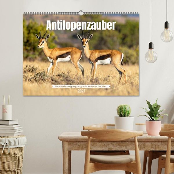 Produktbild: Antilopenzauber (Wandkalender 2027 DIN A2 quer), CALVENDO Monatskalender