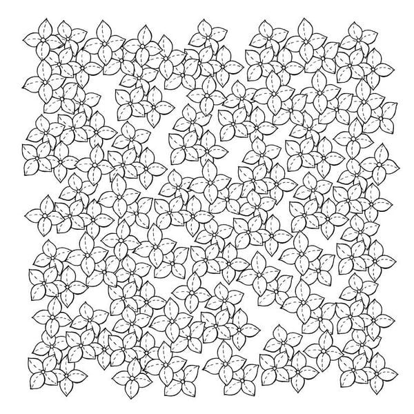 Produktbild: 333 Ausmalen &ndash;&nbsp;Wunder der Natur