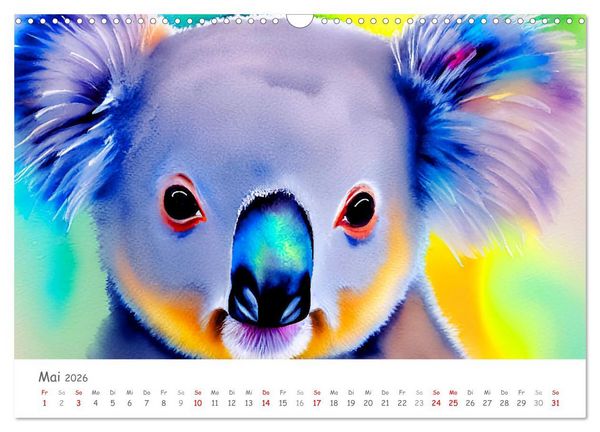 Produktbild: Der Koala 2026. Aschgrauer Beutelb&auml;r (Wandkalender 2026 DIN A3 quer), CALVENDO Monatskalender