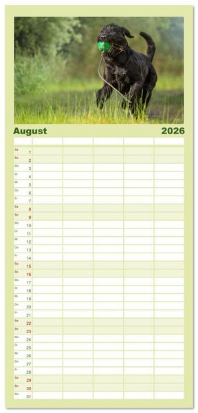 Produktbild: Familienplaner 2026 - Mit dem Riesenschnauzer durch das Jahr mit 5 Spalten (Wandkalender, 21 x 45 cm) CALVENDO