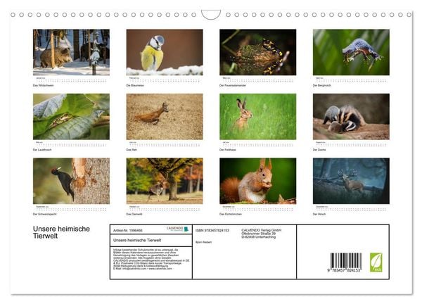 Produktbild: Unsere heimische Tierwelt (Wandkalender 2026 DIN A3 quer), CALVENDO Monatskalender