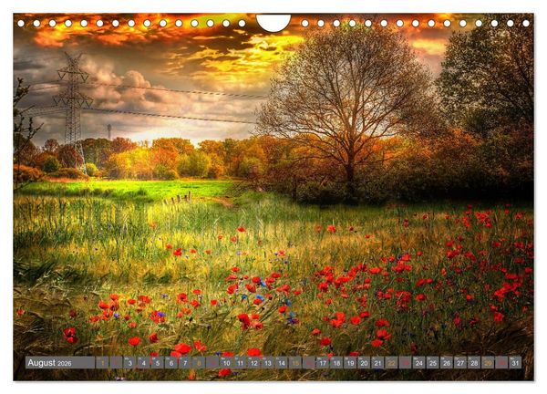 Produktbild: Friesland, verzauberte Landschaft an der Nordsee (Wandkalender 2026 DIN A4 quer), CALVENDO Monatskalender
