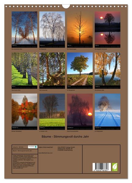 Produktbild: B&auml;ume - Stimmungsvoll durchs Jahr (Wandkalender 2026 DIN A3 hoch), CALVENDO Monatskalender