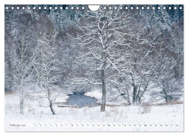 Produktbild: Moore und B&auml;che in Eifel und Ardennen (Wandkalender 2026 DIN A4 quer), CALVENDO Monatskalender