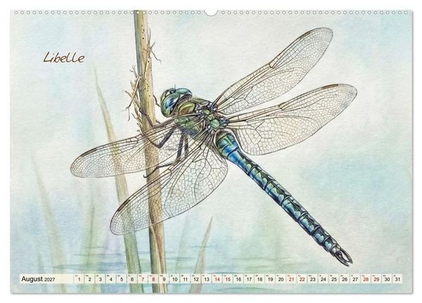 Produktbild: Kleine Wunder in Aquarell - Heimische Insekten kunstvoll illustriert (hochwertiger Premium Wandkalender 2027 DIN A2 quer), Kunstdruck in Hochglanz