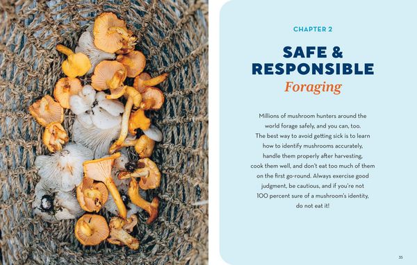 Produktbild: How to Forage for Mushrooms Without Dying