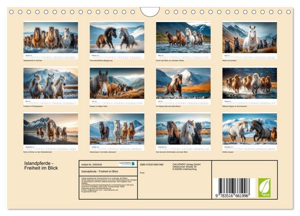 Produktbild: Islandpferde - Freiheit im Blick (Wandkalender 2026 DIN A4 quer), CALVENDO Monatskalender