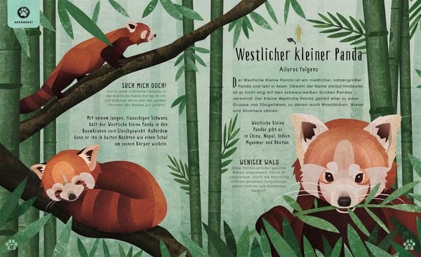 Produktbild: Tiere: 50 Geschichten &uuml;ber Mammut, Panda, Elefant und Co.