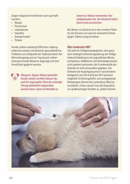 Produktbild: Ein Hund und 1000 Fragen