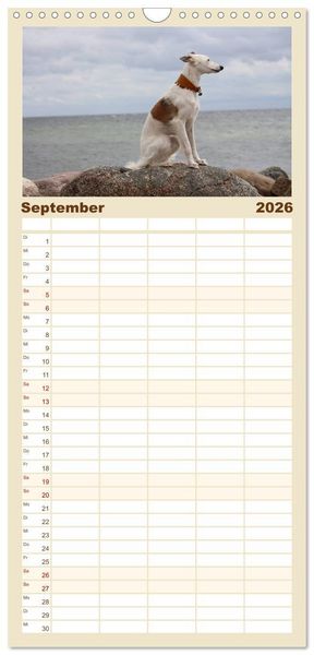 Produktbild: Familienplaner 2026 - Der Silken Windsprite - ein Seelenhund mit 5 Spalten (Wandkalender, 21 x 45 cm) CALVENDO