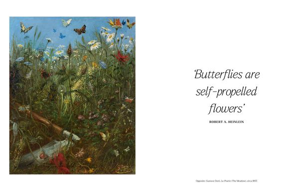 Produktbild: The Book of the Butterfly