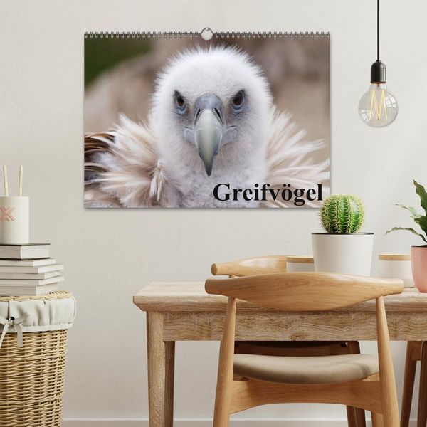 Produktbild: Greifv&ouml;gel (Wandkalender 2026 DIN A3 quer), CALVENDO Monatskalender