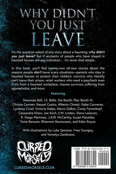 Produktbild: Why Didn't You Just Leave