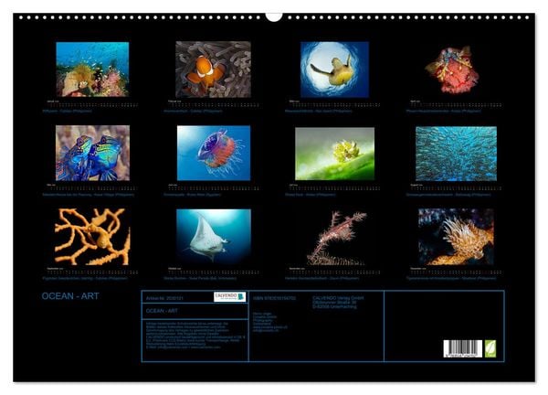Produktbild: OCEAN - ART (Wandkalender 2026 DIN A2 quer), CALVENDO Monatskalender