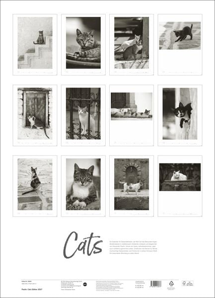 Produktbild: Cats Edition Kalender 2027