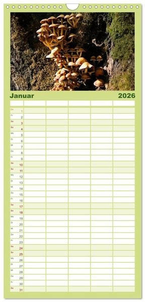 Produktbild: Familienplaner 2026 - Schwammerl Egerlinge Pilze mit 5 Spalten (Wandkalender, 21 x 45 cm) CALVENDO