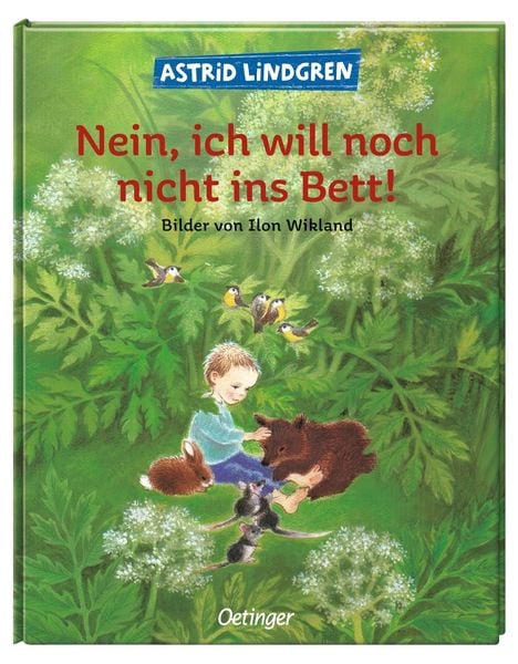 Produktbild: Nein, ich will noch nicht ins Bett!