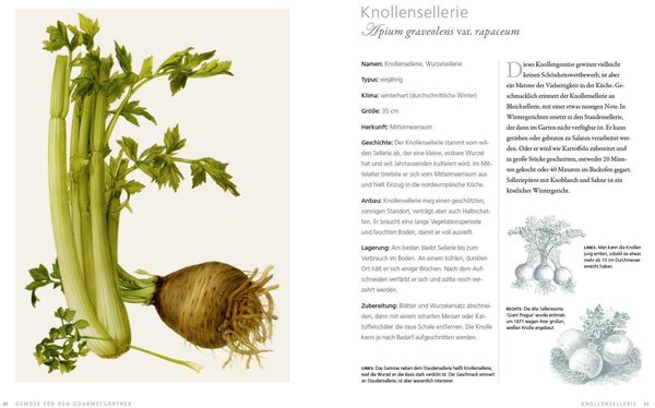 Gemüse für den Gourmetgärtner