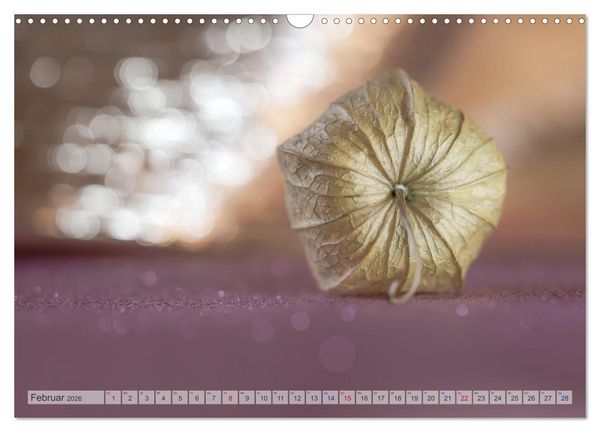 Produktbild: Kunstvolle Physalis-Kleine Frucht von gro&szlig;er Faszination (Wandkalender 2026 DIN A3 quer), CALVENDO Monatskalender