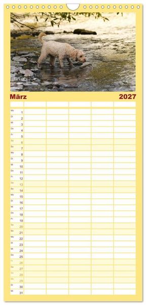 Produktbild: Familienplaner 2027 - Lockenw&ouml;lfe - Energieb&uuml;ndel Pudel mit 5 Spalten (Wandkalender, 21 x 45 cm) CALVENDO