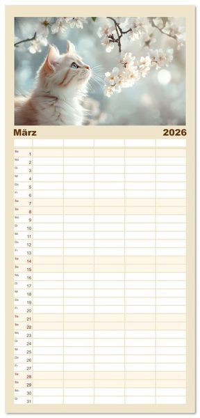 Produktbild: Familienplaner 2026 - Katzen - sanfte Sch&ouml;nheiten mit 5 Spalten (Wandkalender, 21 x 45 cm) CALVENDO