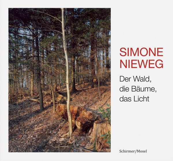 Produktbild: Der Wald, die B&auml;ume, das Licht