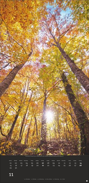 Produktbild: Colourful Nature 2027