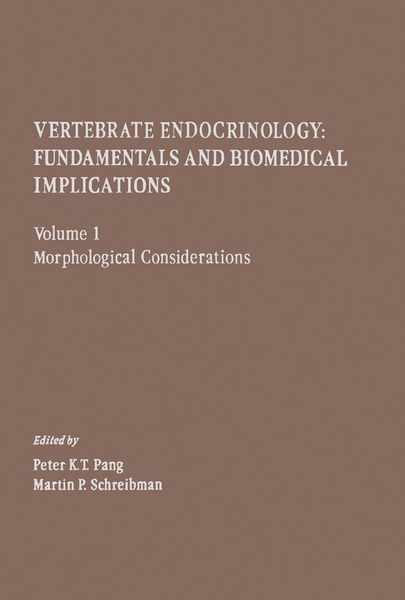 Produktbild: Morphological Considerations