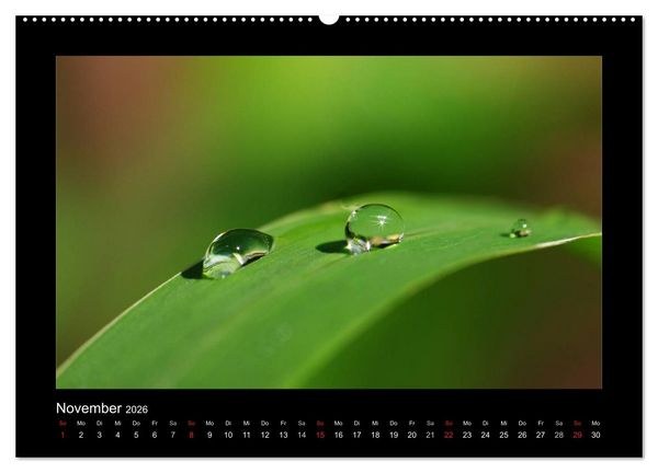 Produktbild: Meine kleine gr&uuml;ne Wassertropfen Welt (hochwertiger Premium Wandkalender 2026 DIN A2 quer), Kunstdruck in Hochglanz