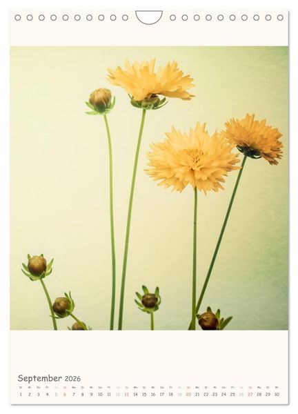 Produktbild: Blumige Fotomalerei (Wandkalender 2026 DIN A4 hoch), CALVENDO Monatskalender
