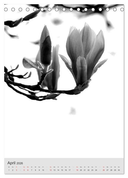 Produktbild: Monochrome Bl&uuml;ten - In Schwarz-Wei&szlig; Bildern durch das Jahr (Tischkalender 2026 DIN A5 hoch), CALVENDO Monatskalender