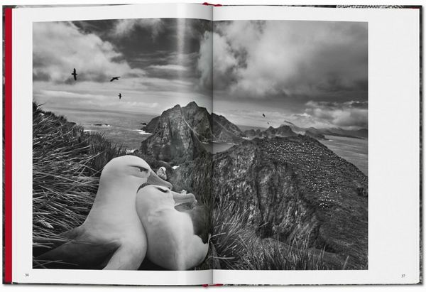 Produktbild: Sebasti&atilde;o Salgado. G&eacute;nesis